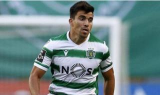 阿根廷国家队图片2022 阿根廷国家队图片2022